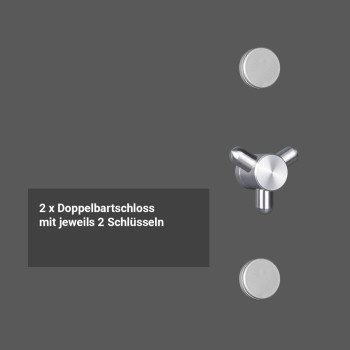 Preview: Wertschutzschrank Tresor Format Antares 105